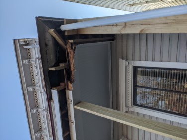 fascia from eye level